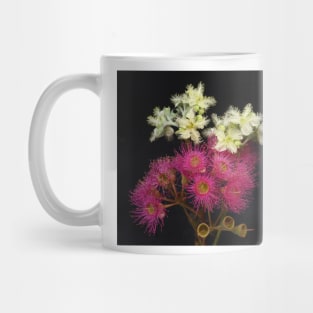 Corymbia Ficifolia with Brushbox Mug